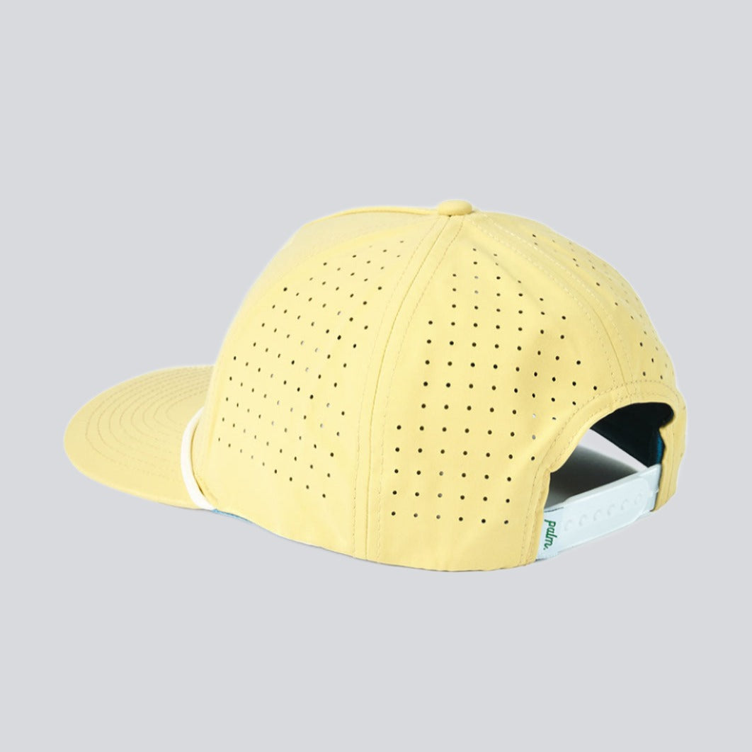 Coast to Coast Snapback